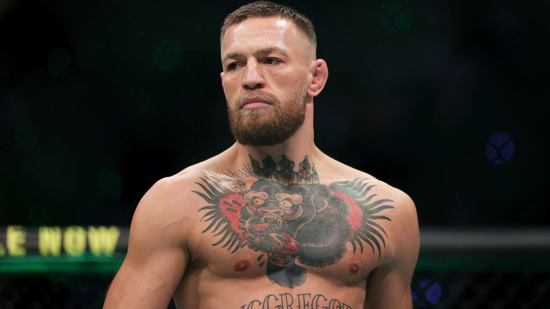 而是适用于 而是适用于